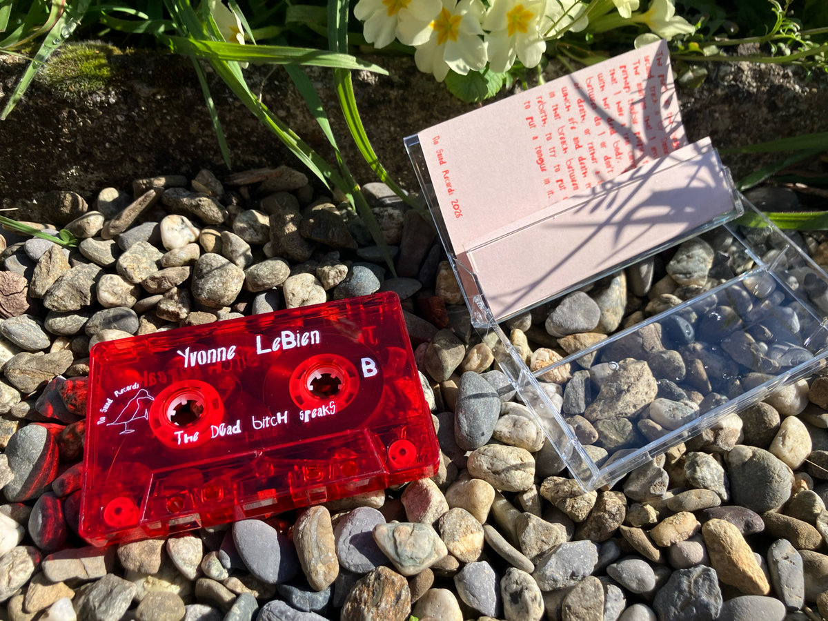'The Dead Bitch Speaks' Cassette